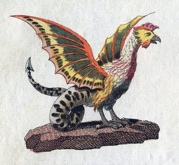 Ink and wash drawing of a basilisk or cockatrice, a part snake, part cockerel creature.